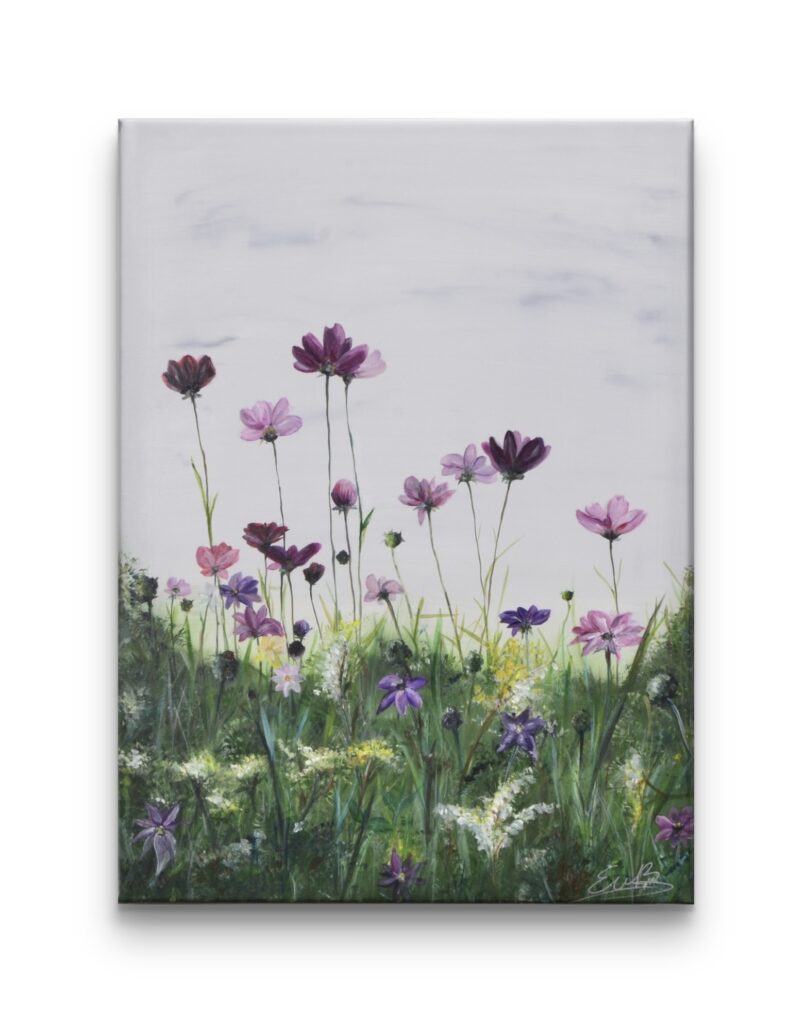 038 Cosmea - Close Up